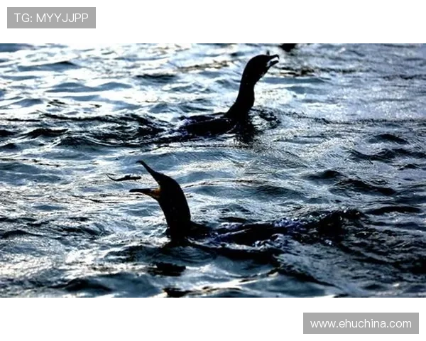 加入ag捕鱼国际全球玩家社区，共同分享捕鱼技巧与精彩赛事