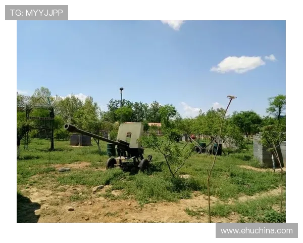 凯发真人平台最新优惠活动及注册流程详解