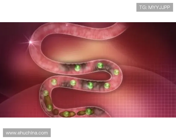 凯发旗舰厅客户端常用操作指南让新手玩家轻松上手游戏体验更顺畅 凯发旗舰厅客户端常用操作指南让新手玩家轻松上手游戏体验更顺畅